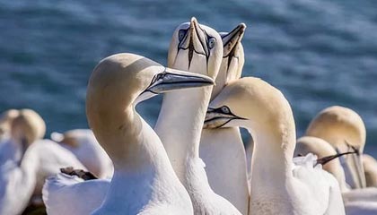 kaiyun.com-【未来赛事】全球最大规模的台球锦标赛即将开幕，台球国际锦标赛